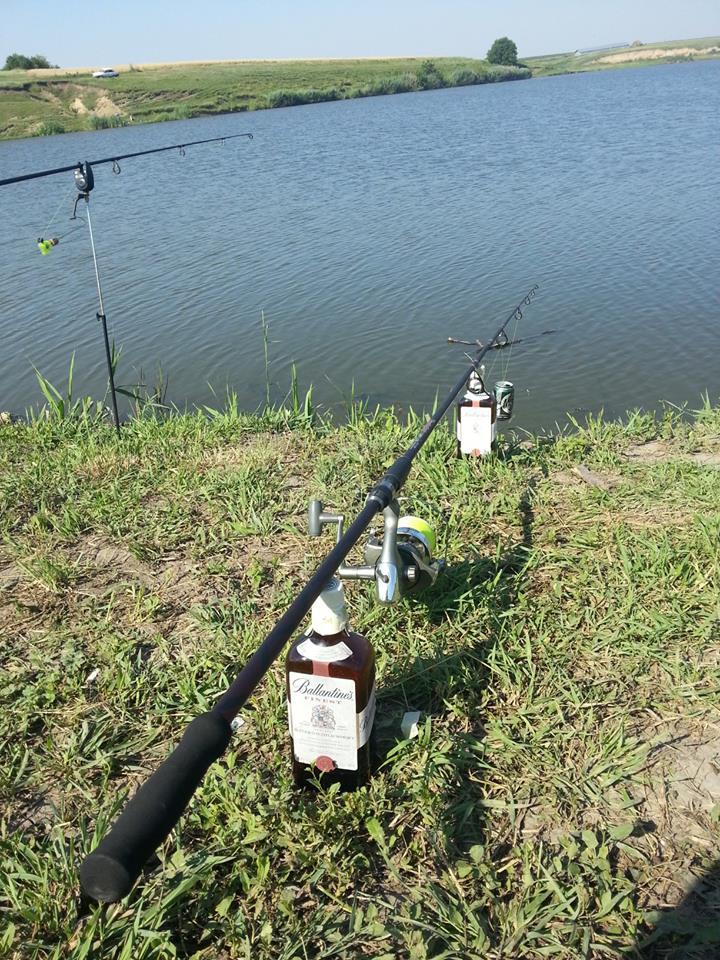 ::::::::- LIKE -:::::: - 10118245179649316036691123116784n.jpg